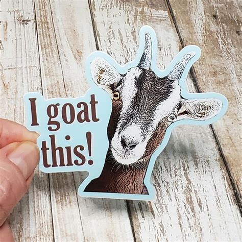 I Goat This Vinyl Sticker Funny Stickers Cute Stickers Etsy