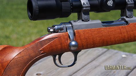 Ruger 7717 17wsm Review And Range Report Varminter Magazine