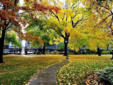 10 Incredible Places To See Fall Colours In Toronto Artofit