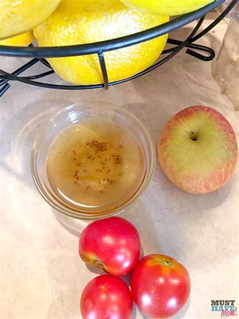 Diy Fruit Fly Trap That Works Better Than Store Bought