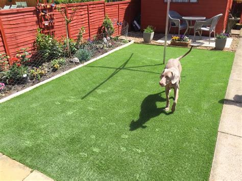 Artificial grass is installed so that liquids pass through the grass to the substrate underneath. Pet Friendly Artificial Grass - The Artificial Grass Co ...