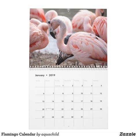 Flamingo Calendar Holidays And Events Event Template