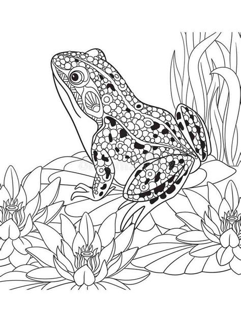 Frog Adult Coloring Pages