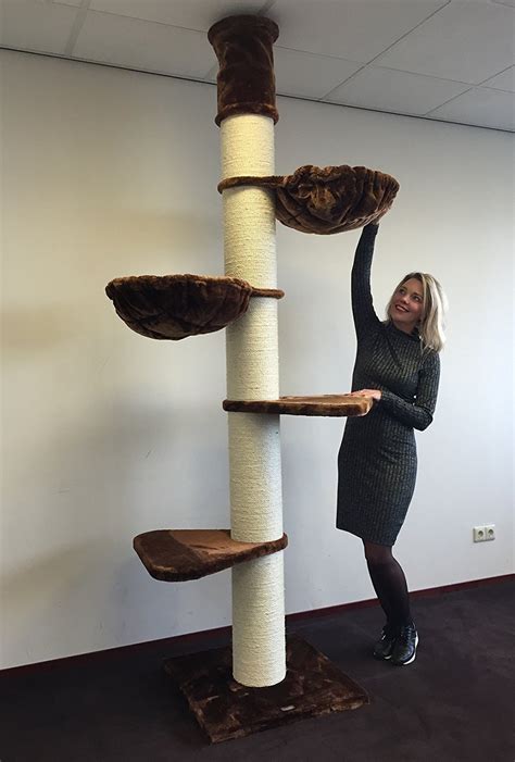 Which floor to ceiling cat tree is right for your cat? Maine Coon Tower (Brown) | LOWEST PRICES GUARANTEED | FREE ...
