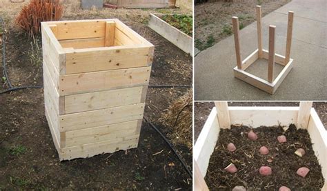 4.1 how to plant potatoes! This Wooden Potato Planter Has a Door To Easily Access ...
