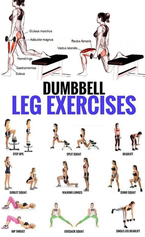 Top Dumbbell Exercises For A Leg Destroying Workout Gymguider Dumbbell Leg Workout