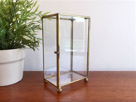 Upright Glass Box Glass Brass Curio Box Vertical Glass Display Case W Door Lidded Glass