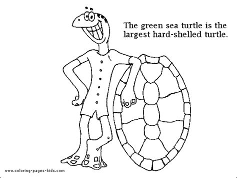 Green sea Turtle color page