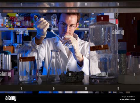 Scientist Conducting Experiment In Lab Stock Photo Alamy