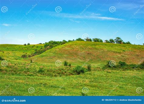 Trees Grow On The Hills Covered With Green Grass Green Hill Stock