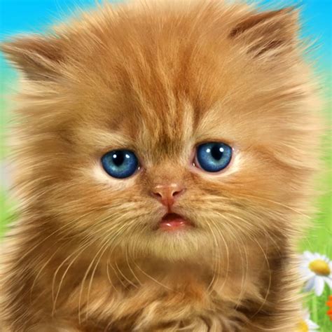 Terkeren 17 wallpaper lucu warna hitam di 2020 warna lucu hitam. Paling Bagus 19+ Wallpaper Wa Kucing Lucu - Joen Wallpaper