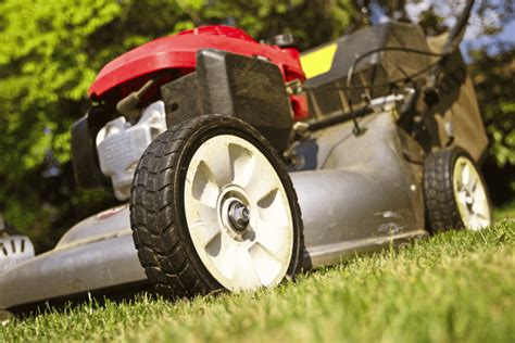 Get A Lush Green Lawn With Professional Maintenance Near You