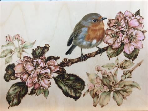 Pyrography Apple Blossom And Robin Painted In Oils Drawings Oil