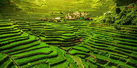 Banaue Rice Terraces - Carved into the mountains of Ifugao, Philippines
