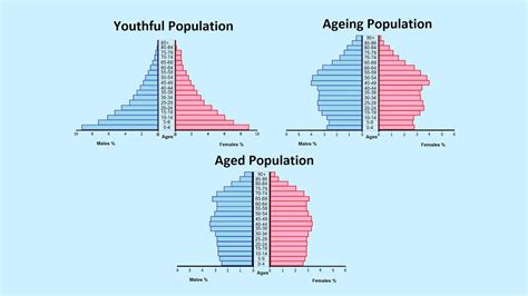 How To Read A Population Pyramid Youtube