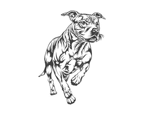 Ilustração Vetorial Da Raça De Cachorro Pitbull Vetor De Cachorro