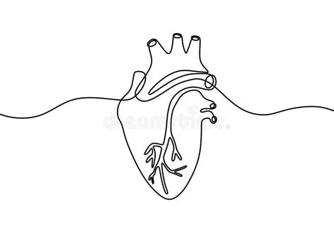Single Continuous Line Art Anatomical Human Heart Silhouette Medical