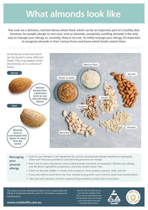 Managing Your Allergy Fact Sheets Nuts For Life Australian Tree