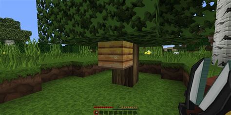 Minecraft All The Rarest Blocks And Where To Find Them 2024