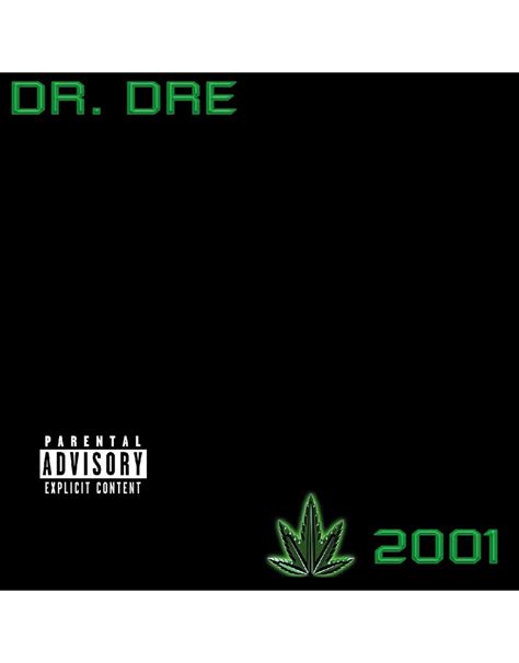 Dr Dre 2001 20th Anniversary Vinyl Pop Music