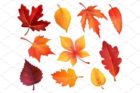 Autumn Foliage Leaf Icons Of Vector Falling Leaves Object