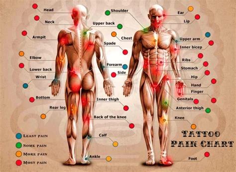 The Most And Least Painful Spots To Get A Tattoo Tattoo Pain Chart An Mrinkwells