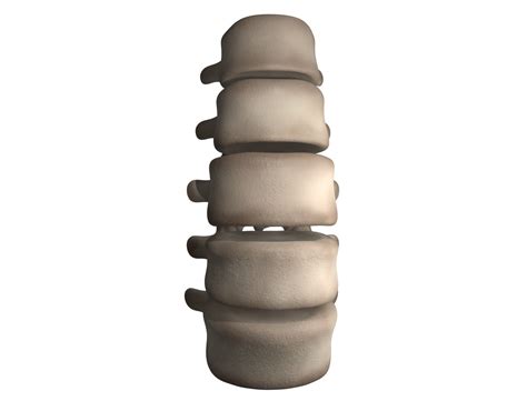 Lumbar Spine 3d Model Cgtrader