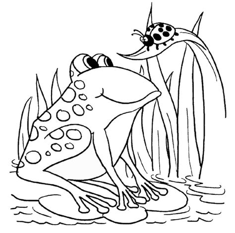 Cute Frog Coloring Sheets 101 Activity