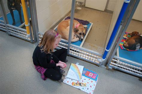 New Program Lets Kids Practice Reading While Shy Shelter Dogs Learn To