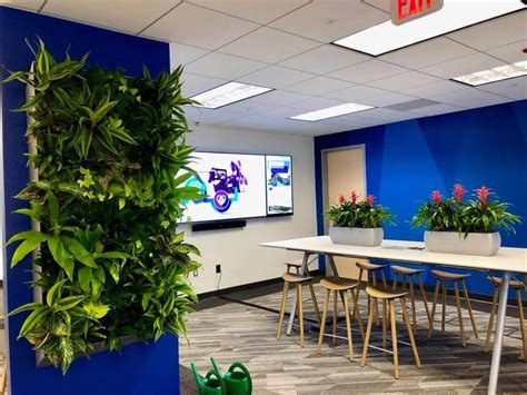 The Best Plants For Offices With Florescent Lighting Planterra