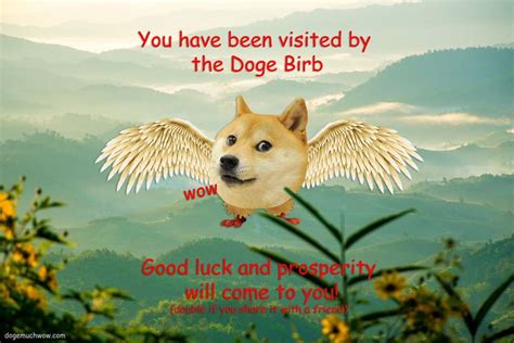 You Have Been Visited By Doge Birb 🐤 Doge Much Wow International Dog