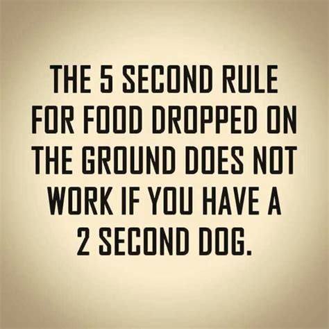 The 5 Second Rule For Food Dropped On The Ground Does Not Work If You