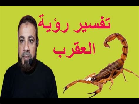 ولكن رؤية اللحم فيها الخير كله، مقارنة بأكل اللحم الذي تشوبه بعض الشرور. العقرب في المنام بشارة خير - العقرب في ال