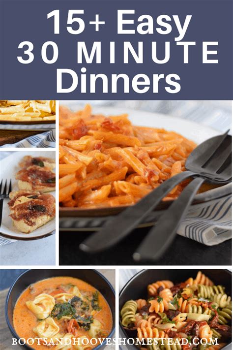 15+ Easy 30 Minute Dinners in 2020 (With images) | Dinner ...