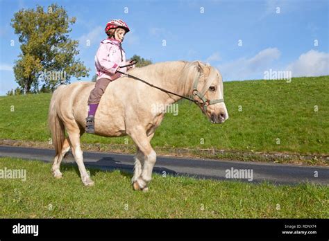 Young Girl Riding Pony Being Hi Res Stock Photography And Images Alamy