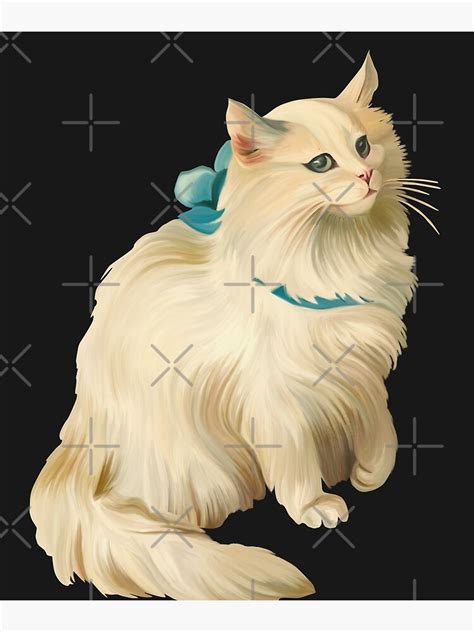 Balinese Cat Norwegian Forest Cat Maine Coon Kitten Poster By