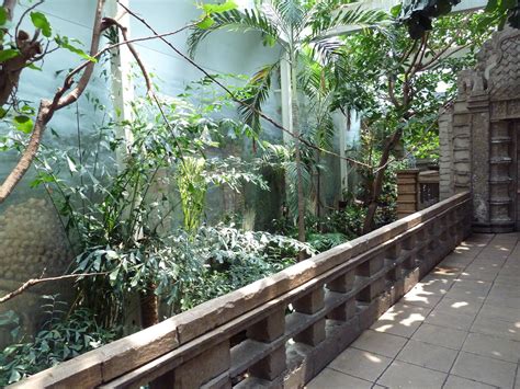 Tropical Bird House Walk Through Aviary Zoochat