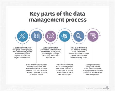What Is Data Management And Why Is It Important
