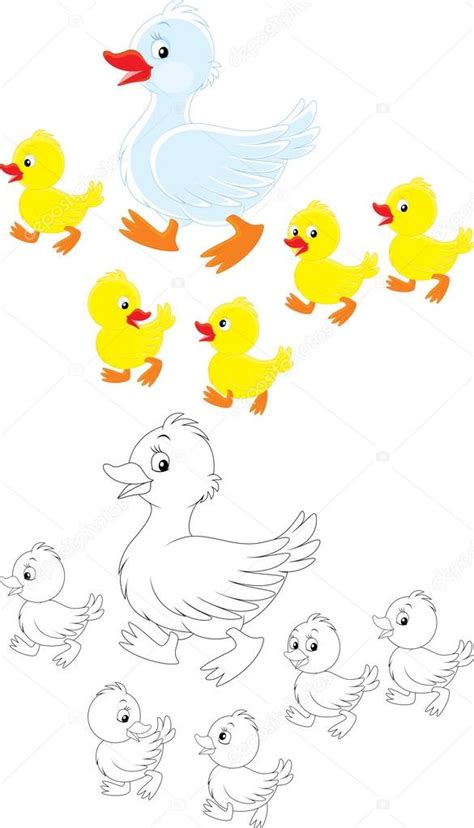 엄마 오리와 아기 Ducklings Stock Vector By ©alexbannykh 30853449