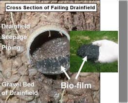 Restoring a clogged drain field or leach system: Leach Field Not Draining Properly - Best Drain Photos ...