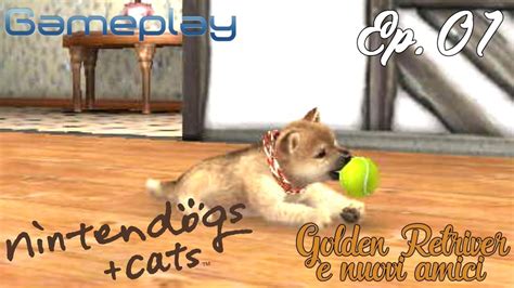 01 Nintendogscats Golden Retriver Ecco A Voihiro Ita Youtube
