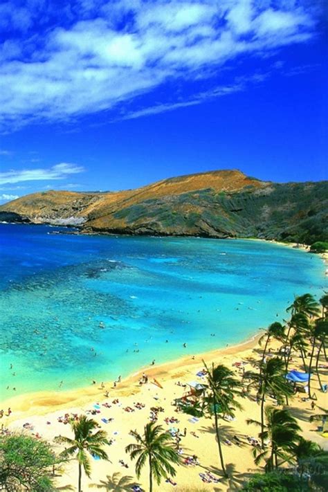 Download Hawaii Tropical Beach Iphone Wallpaper