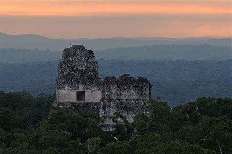 Tikal Maya Ruins In Guatemala Uncover Ancient Wonders