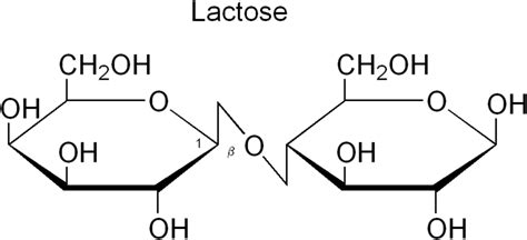 Lactose Formula Structure Preparations And Properties