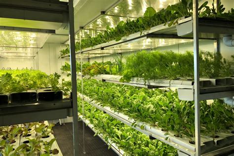 Hydroponics is a type of horticulture and a subset of hydroculture, which is a method of growing plants, usually crops, without soil, by using mineral nutrient solutions in an aqueous solvent. How analytics-based hydroponic farming can change lives in ...