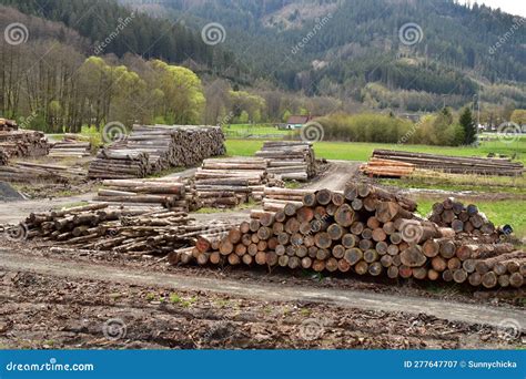 Pile Of Logs In A Rural Place Stock Image Image Of Bark Trunk 277647707