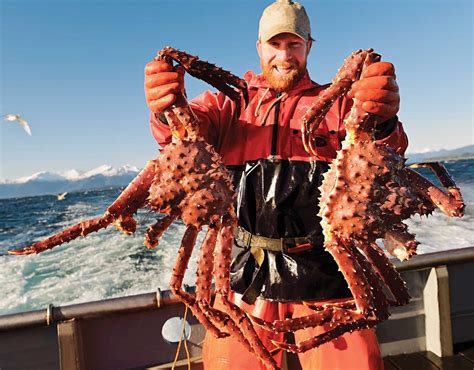 Maybe you would like to learn more about one of these? Cận cảnh việc săn bắt cua hoàng đế Alaska King crab ...