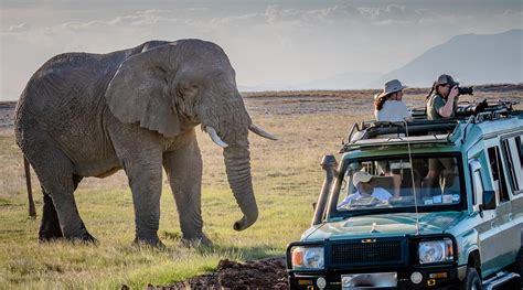 Arusha National Park Facts Arusha National Park Tanzania Safaris Tour