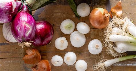 Come Cucinare Le Cipolle Proprietà Usi Ricette E Curiosità