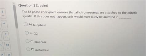 Solved Question 1 1 Point The M Phase Checkpoint Ensures
